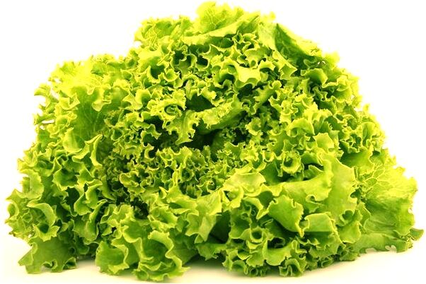 夢到了他人在墳地撿東西會是什麼預兆_周公解夢官網