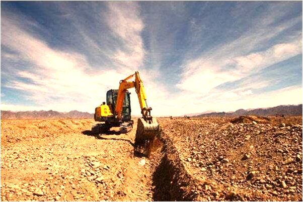 夢見被狒狒殺有什麼預兆_周公解夢官網