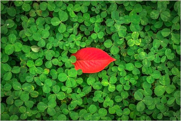 夢到陌生人登門認親是什麼意思_周公解夢官網