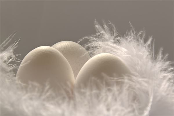 夢到吃毛蛋預示了什麼_周公解夢