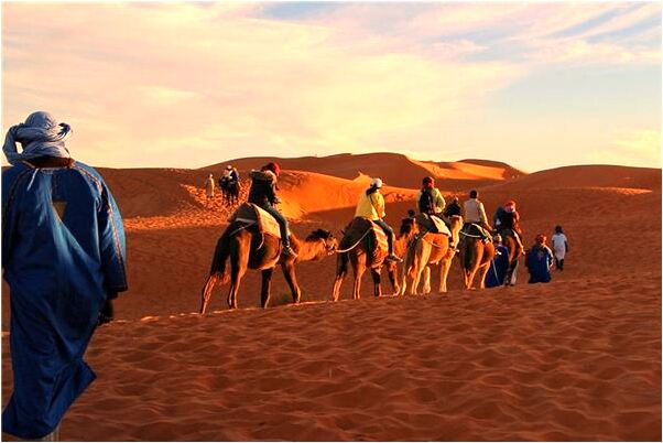 夢到白色鳥有什麼意義嗎_周公解夢官網