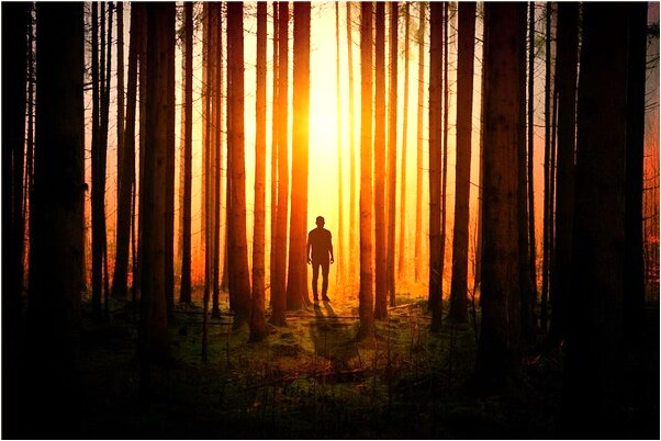 夢到了摘苦瓜是什麼預兆_周公解夢官網