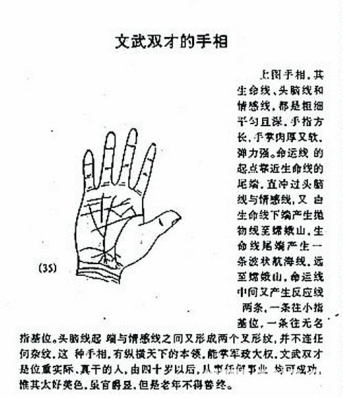 Wenwu double palm diagram