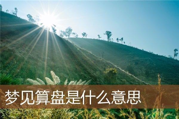 夢見算盤是什麼意思_周公解夢