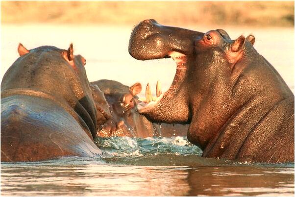 夢到了把別人的錢還人家怎么回事_周公解夢官網