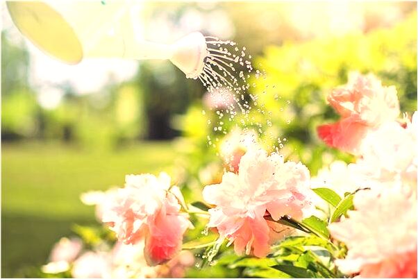 夢見自己大牙掉三顆怎么樣_周公解夢官網