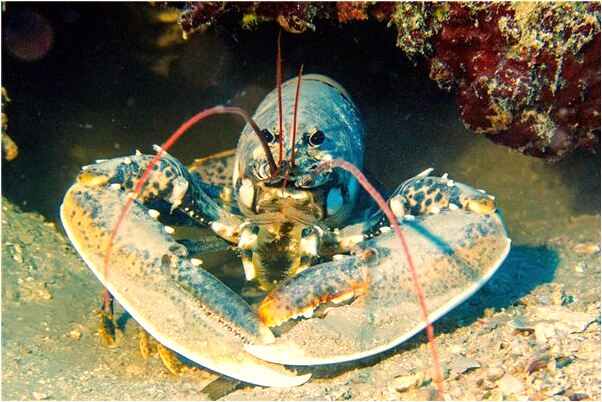 夢到辦後事是什麼徵兆_周公解夢官網