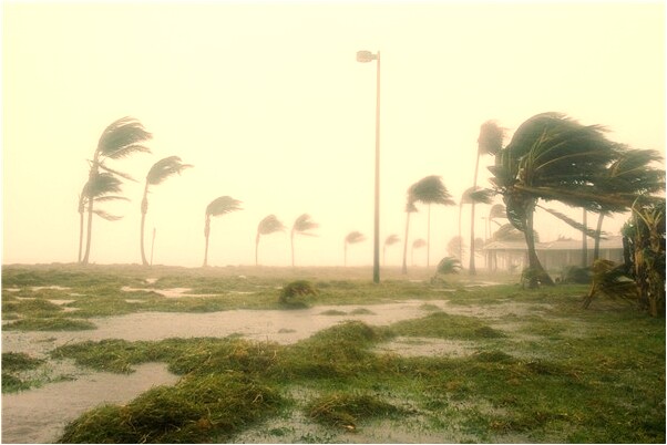 夢到妻子說朋友去坐公車有什麼寓意嗎？_周公解夢官網