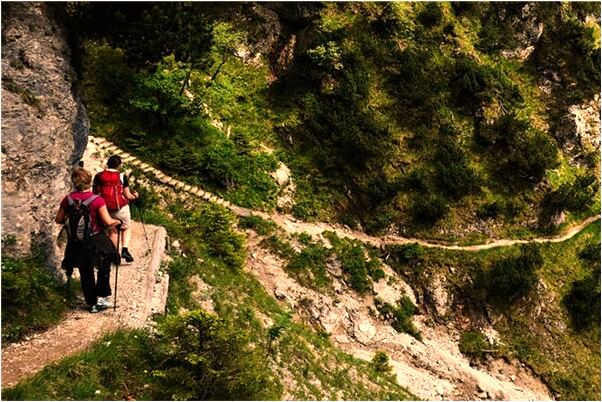 夢到了別人挖到人參送我意味什麼_周公解夢官網