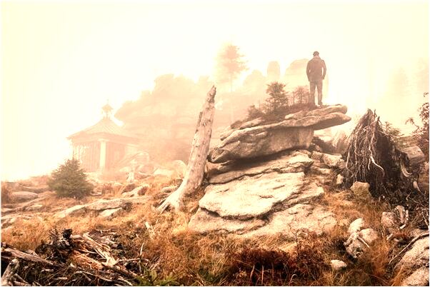 夢到了殺狗吃狗肉是好是壞_周公解夢官網