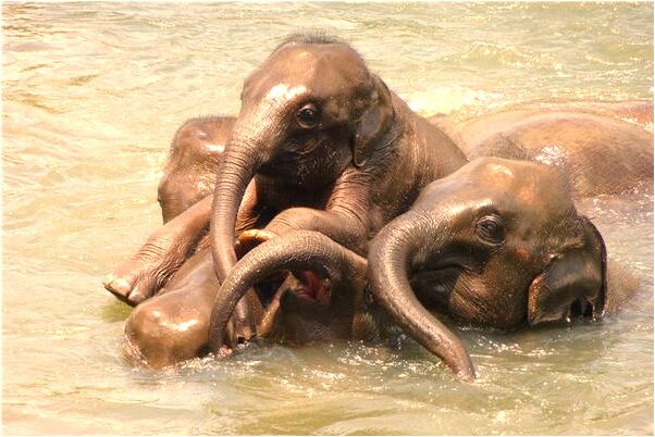 夢到了山頭上看見下面被水淹蓋會是什麼預兆_周公解夢官網