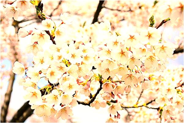 夢到蟲子進到我肚子裡是啥預兆_周公解夢官網