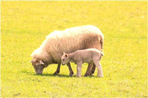 夢到了右腿里有玻璃吸管預示什麼_周公解夢官網