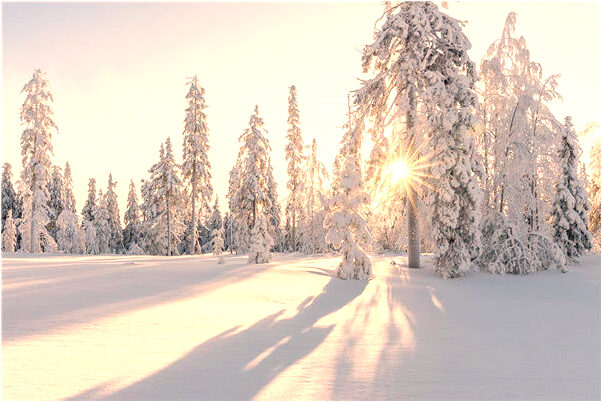 夢到小偷要和我打架有什麼預示嗎_周公解夢官網