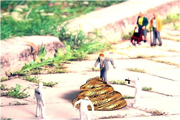 夢到了二胡斷弦是啥意思_周公解夢官網