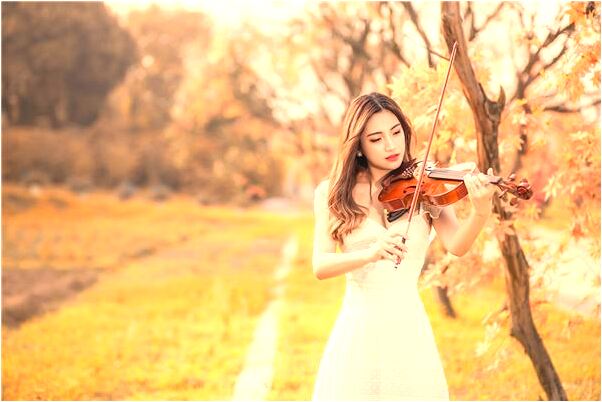 夢到了兩頭一大一小的白豬有何寓意_周公解夢官網