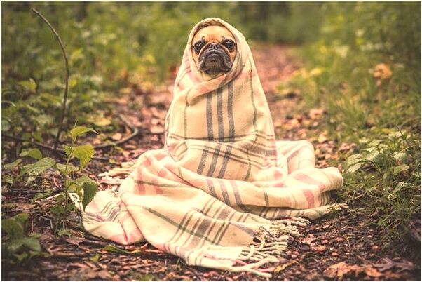 夢見用水沖路上的髒東西代表著什麼_周公解夢官網