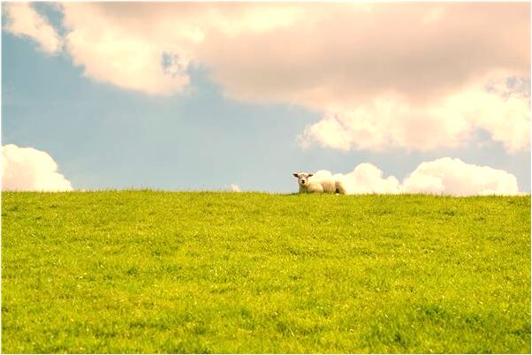 夢到弟弟受傷流血是什麼徵兆_周公解夢官網
