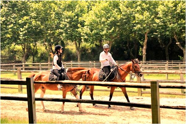 夢到別人打碎我家燒香的香爐預示什麼_周公解夢官網