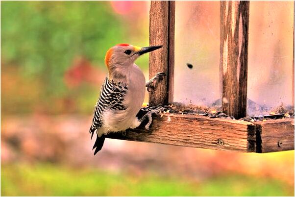 夢到白素貞跟法海是什麼意思?_周公解夢官網