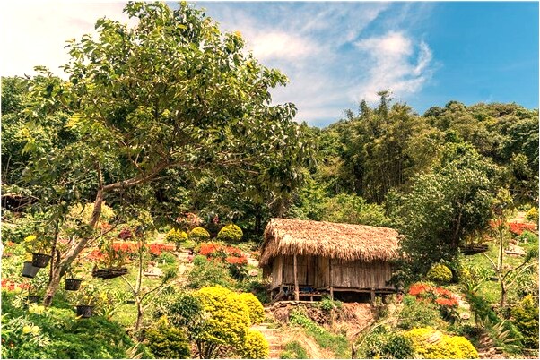 夢到了姥姥從臉上擠出一隻大蟲子是凶兆還是吉兆_周公解夢官網