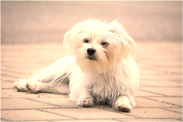 夢到了自己的夫妻朋友赤裸預示什麼_周公解夢官網