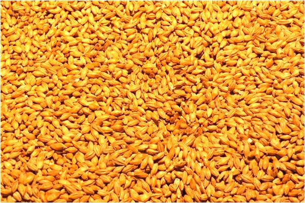 夢到了母親帶來個孩子交給我意味著什麼_周公解夢官網