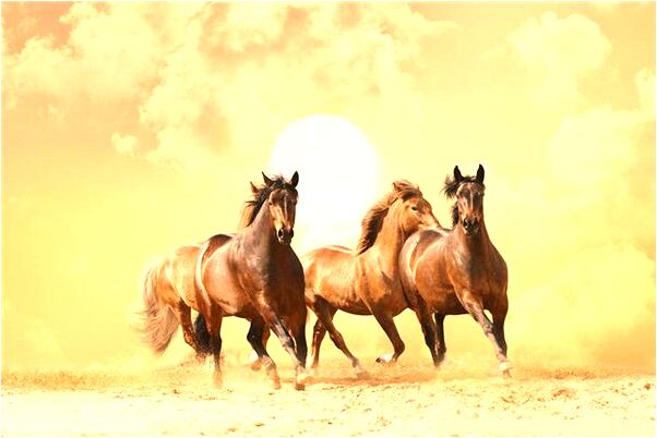 夢到了找房間沒找到是什麼啟示_周公解夢官網