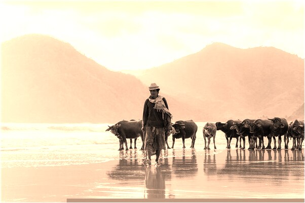 夢到和媽媽出去有何寓意_周公解夢官網