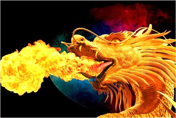 夢到一天晚上猴子小鳥和蛇有什麼預兆_周公解夢官網