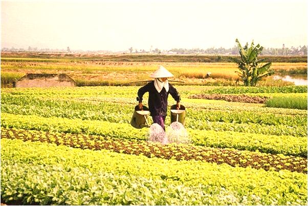 夢到看見牆垮了怎么樣_周公解夢官網