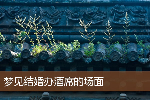 夢見結婚辦酒席的場面_周公解夢