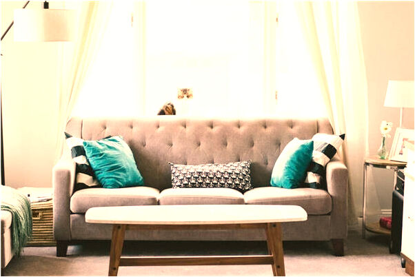 夢到了烏龜與甲魚怎么說_周公解夢官網