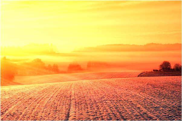 夢見救了一條大魚怎么說_周公解夢官網