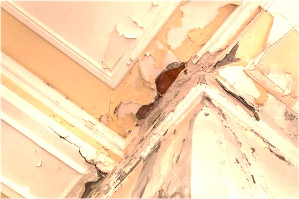 夢到蛇纏住自己左手腕有什麼預兆_周公解夢官網