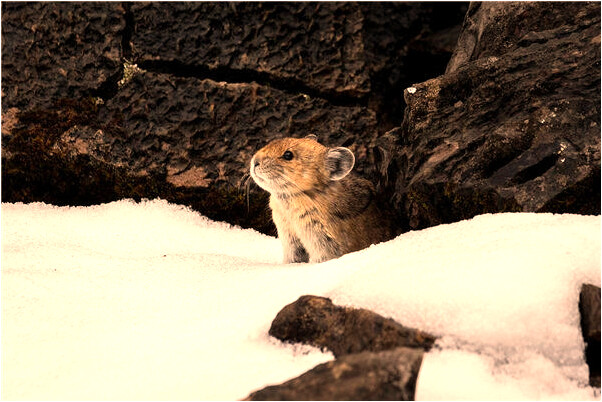 夢到了夢自己出了好多汗水有什麼說法_周公解夢官網