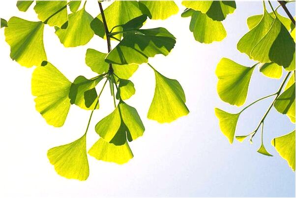 夢到買新屋是什麼預兆_周公解夢官網