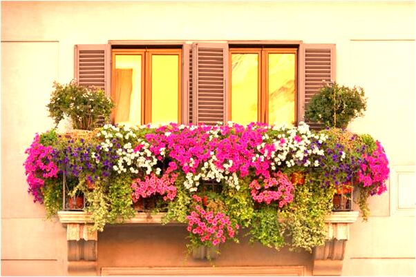 夢到了馬上會漲大水是什麼徵兆_周公解夢官網