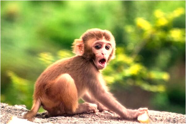 夢見哭墳的人預示了什麼_周公解夢官網