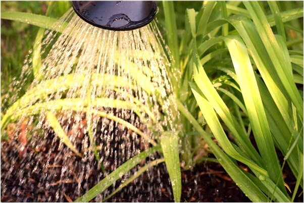 夢見同學聚會光身子意味著什麼_周公解夢官網