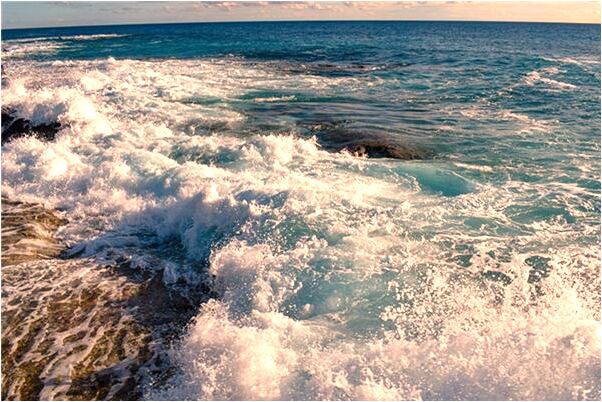 夢到懷孕三條魚是什麼預兆_周公解夢官網