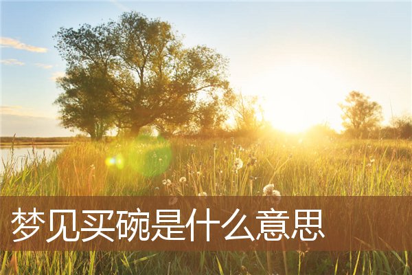 夢見買碗是什麼意思_周公解夢