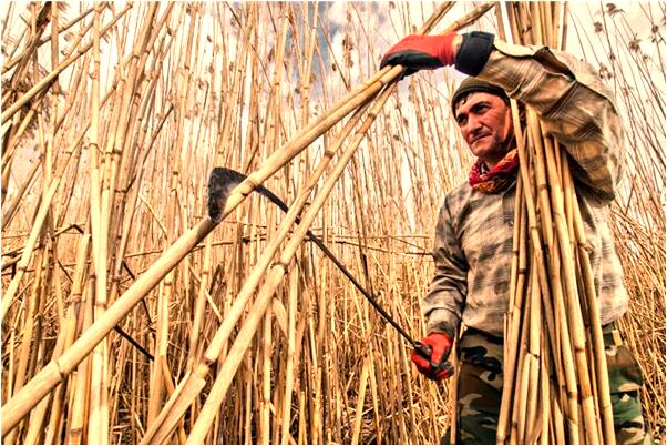 夢到招鬼並成為了朋友有什麼寓意嗎_周公解夢官網