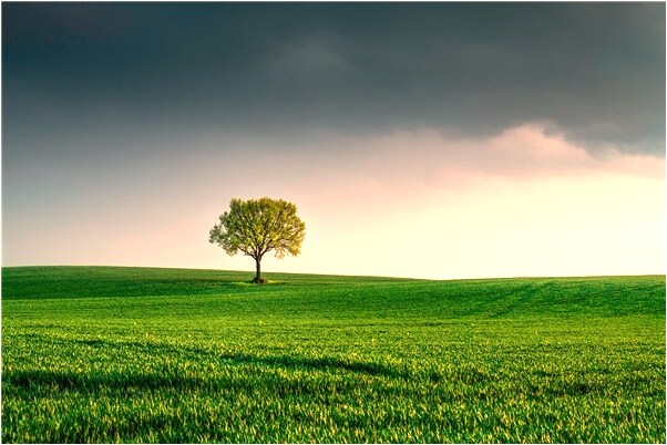 夢見和同學一塊買東西意味著什麼_周公解夢官網