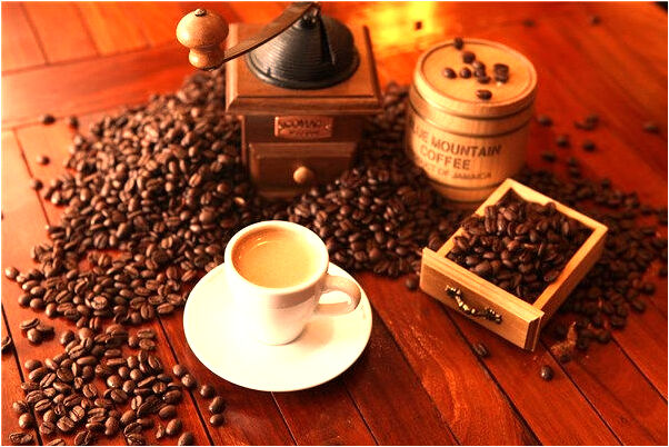 夢見奶奶小樹尖折斷是什麼意思?_周公解夢官網