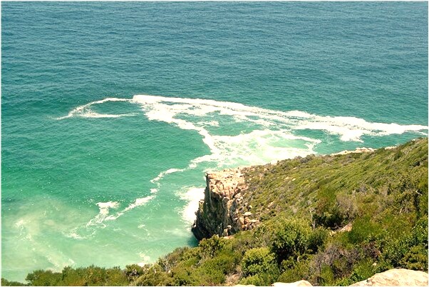 夢到同行欺負我是好是壞_周公解夢官網