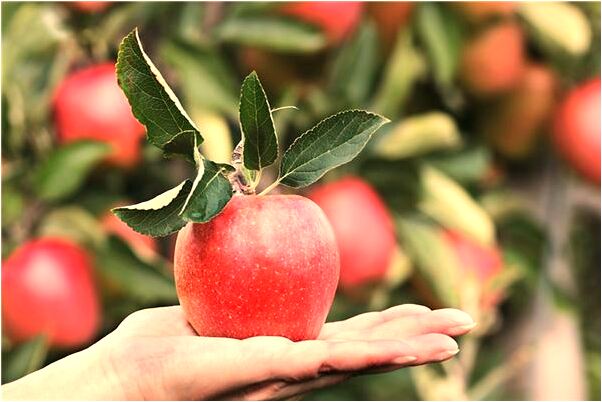 夢到了一男子說要殺我是什麼意思_周公解夢官網