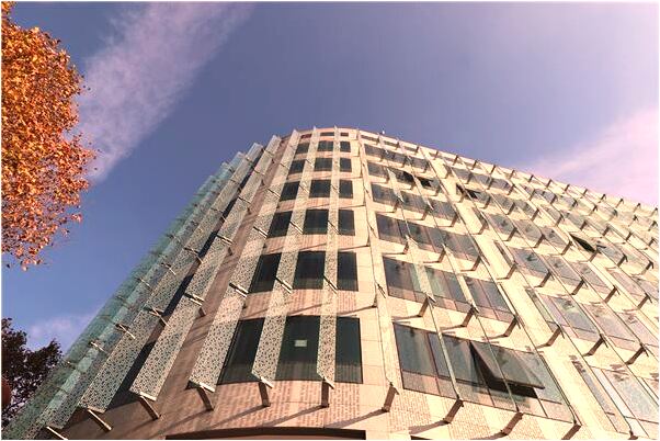 夢見追一隻白色途中預示什麼_周公解夢官網