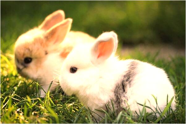 夢到和陌生女人戀愛做愛怎么回事_周公解夢官網