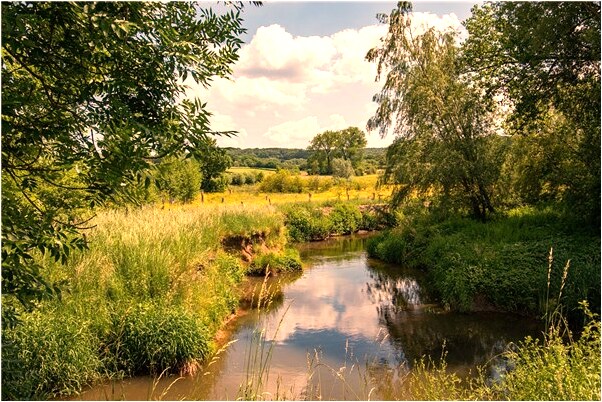 夢到了自己富家少爺會是什麼預兆_周公解夢官網